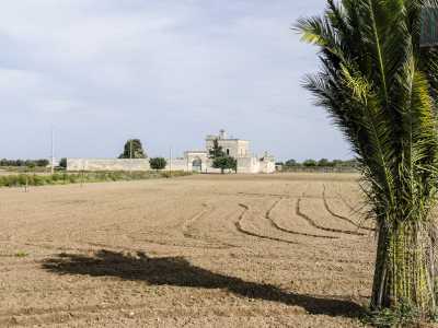 Triggiano, la masseria Torre Reddito
